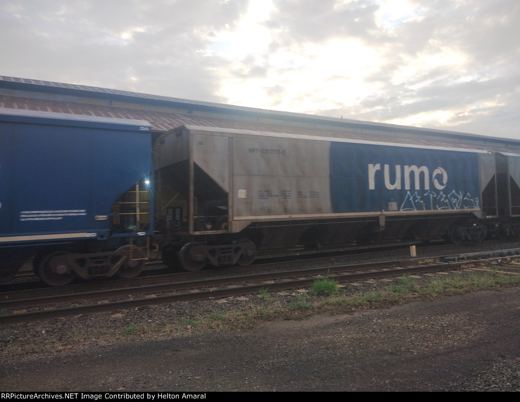 RUMO HPT-031773-0
